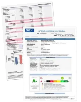 Vista previa de un modelo de informe